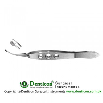 Dodick Nucleas Cracker Cross Action - Longitudinally Serrated Paddle Shaped Jaws Stainless Steel, 11 cm - 4 1/4"